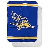 CSU Bakersfield Roadrunners Primary Logo Stripes