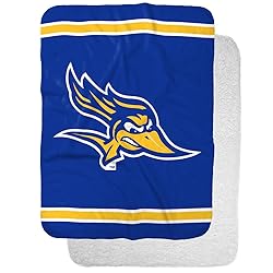 CSU Bakersfield Roadrunners Primary Logo Stripes