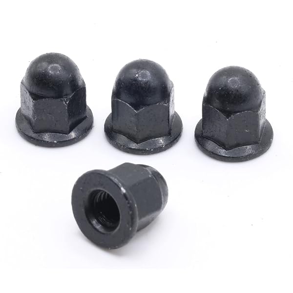 Amazon.com: ReplacementScrews License Plate Retainer Screws/Nuts 