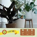 Baby Bio Houseplant Drip Feeders 4x40ml Ready To Use Fertiliser view 6