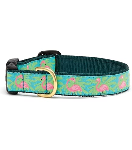 Up Country Alligator Hundehalsband – Größe L, 1 Zoll Breit, Aus Nylon & Messing