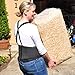 Back Brace Lumbar Support with Adjustable Suspenders, Hook and Loop Fastener, Breathable Back Panel Made with Spandex Material, Removable Straps