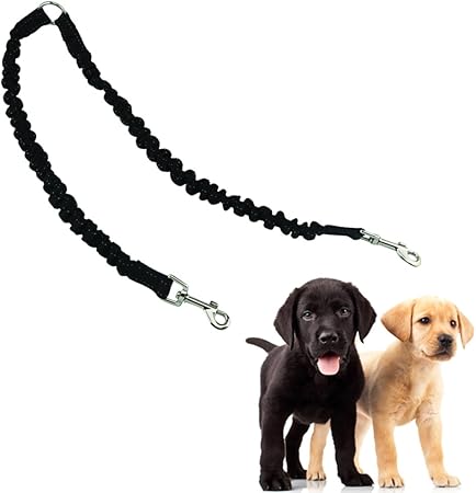 amazon double dog leash