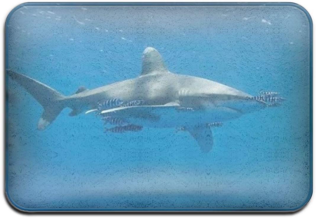 SZshenya Front Door Mat Outdoors, Door Mat Inside, Door Mats Indoor,Doormat Outside,Non-Slip Doormat Oceanic White Tip Shark Carcharhinus Longimanus Under Water in The Open Ocean
