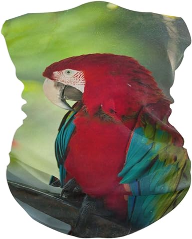 Lennel Sciarpa Multiuso Fazzoletto Fazzoletto Hankie 9 4 18 9 In Pappagallo Rosso Amazon It Abbigliamento