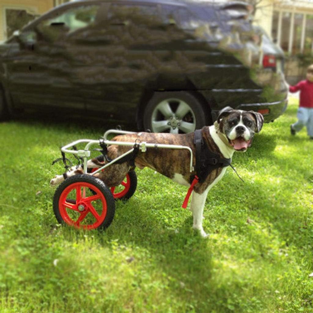 Коляски Для Собак Инвалидов Купить