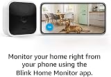 Blink Indoor Wireless HD Security Camera Battery Powered 2-Year Life view 2