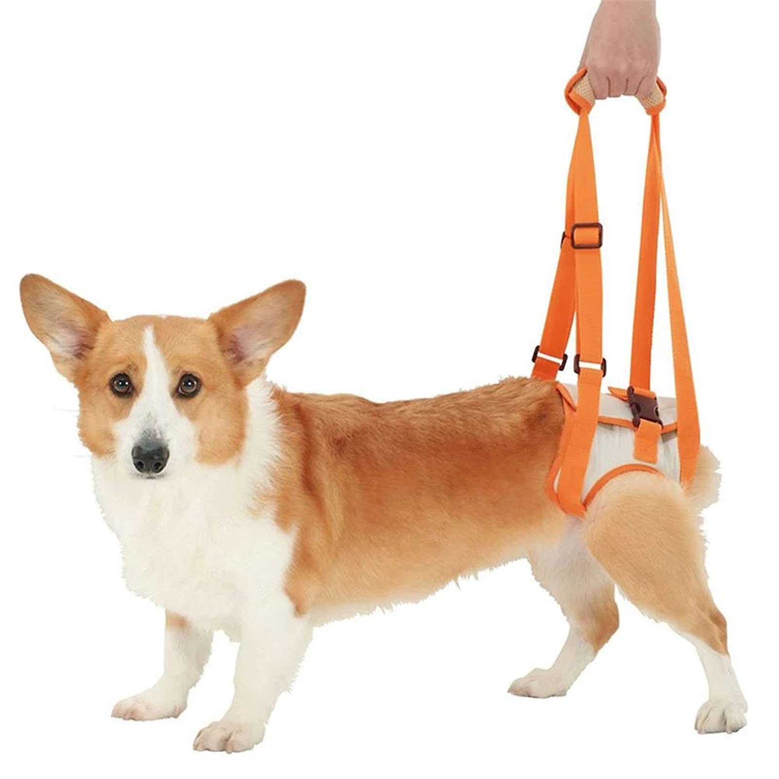 MeiAOBest Dog Hind Leg Support Belt Portable Supporting Harness Adjustable Hip Back Legs Sling for Small Medium Large Dog (M)