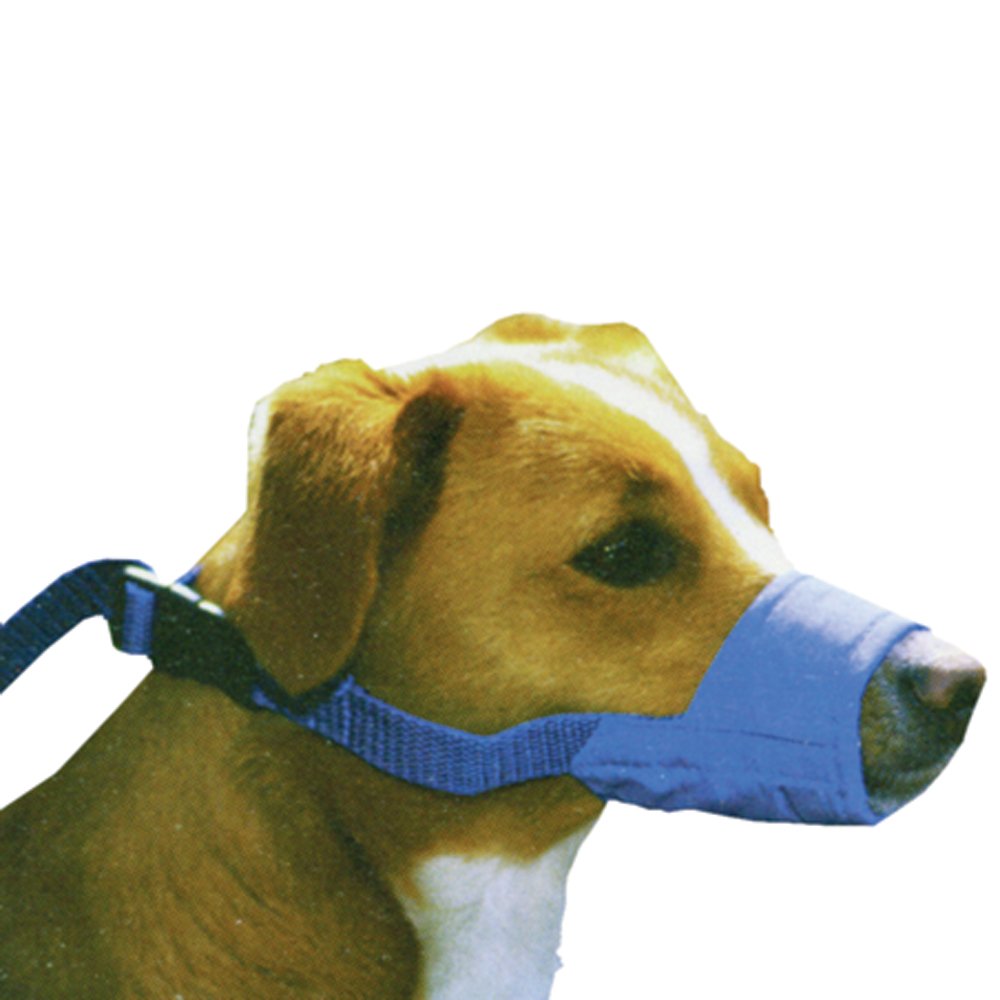 Quick Muzzle, XS, Blue
