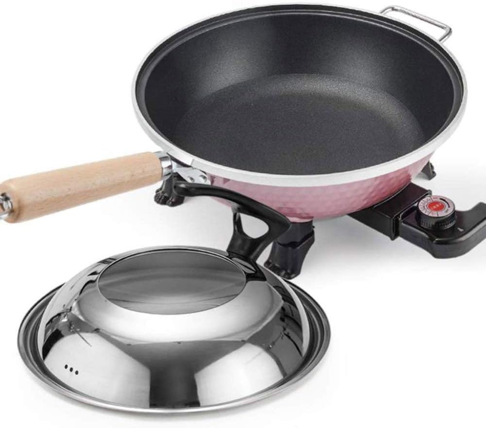 The 10 Best Aroma Electric Wok