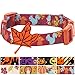 Blueberry Pet Thanksgiving Fall Fun Enchanting Squirrel Designer Adjustable Dog Collar with Maple, Medium, Neck 14.5