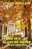 Storm In A Glass Of Water: A Small Town Story