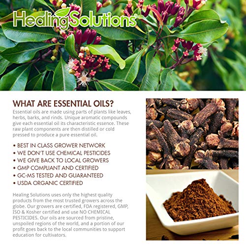 Healing Solutions 30ml Oils Clove Essential Oil 1 Fluid Ounce