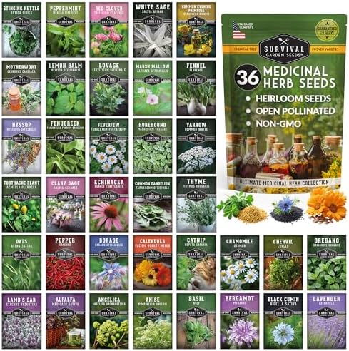 self waterer plant pot Ryan Self-Watering Plant Pot Kits  Chive US Wholesale