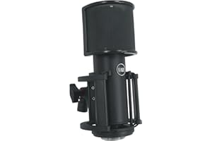 512 Audio by Warm Audio Skylight Large Diaphragm Studio Condenser XLR Microphone + Shock Mount + Bag for Recording and Podcasting