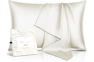 IOION 100% Pure Mulberry Silk Pillowcase for Hair & Skin - 22 Momme 6A High-Grade Fibers - Anti-Aging, Anti-Sleep Crease, Cooling Satin Pillowcases with Hidden Zipper, Best Gift Idea (Queen 20x30 Inches)