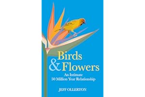 Birds and Flowers: An Intimate 50 Million Year Relationship