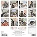 Pumpkin the Raccoon 2017 Wall Calendar