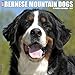 Just Bernese Mountain Dogs 2017 Wall Calendar (Dog Breed Calendars)