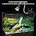 HIIZORR Heat Light for Reptiles Tortoise 720°Rotating Flexible Clamp Lamp Lizard Or Amphibian Adjust Brightness Habitat Lighting Holder, Bulb Not Included,Fit E27 Bulb |RESPECTING