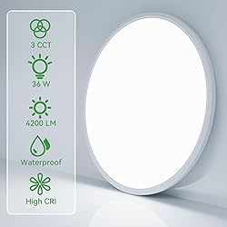 hepside 15.8INCH 2Pack Big Dimmable Flush Mount