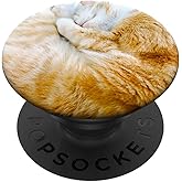 Sleeping Orange Tabby Cat Design PopSockets Adhesive PopGrip