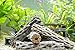 Aquatic Arts 4 Cholla Wood Pieces - Sinkable Aquarium Driftwood/Dried Cactus Branches - Natural Hollow Decorations - Fish Tank/Terrarium Decor