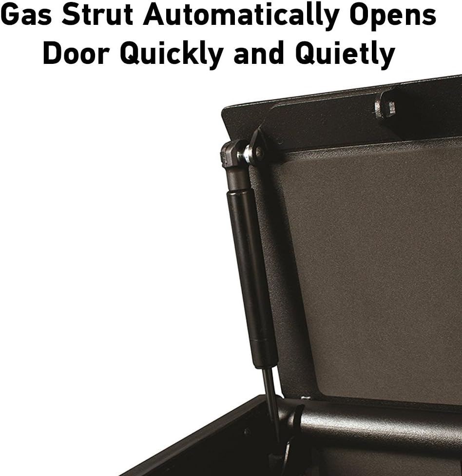 SentrySafe QAP1BE Gun Safe with Biometric Lock, 1 Capacity: Home Improvement
