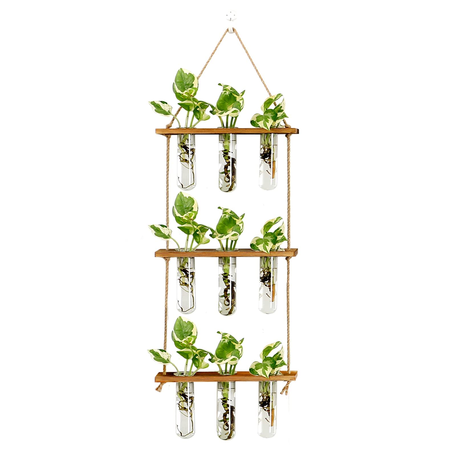 Photo 1 of XXXFLOWER Wall Hanging Propagation Station with Wooden Stand Glass Test Tubes Tiered Planters Wall Terrarium for Home Office Plant Hanger Flower Vases Wall Decor Hydroponic Cuttings (9 Tube Vases)