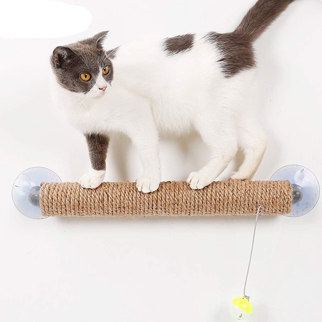 suction cup cat shelf