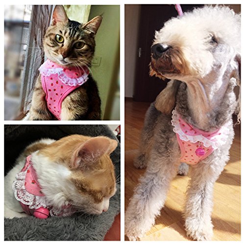 M2cbridge Small Dog Harness Leash Leads Set Step-in Soft Mesh Vest Cat Collar (M, Pink)
