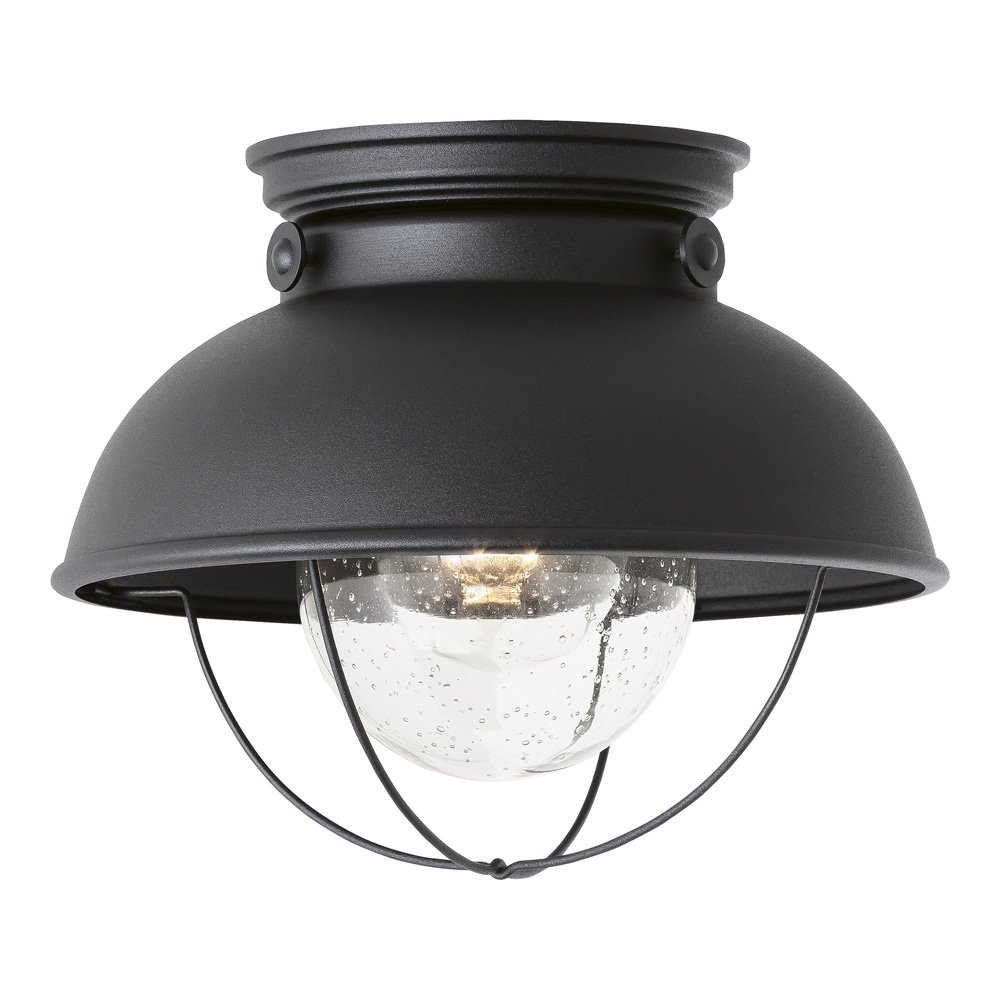 Sea Gull Lighting 8869-12 Sebring One-Light Outdoor Flush Mount Ceiling Light with Clear Seeded Glass Diffuser, Black Finish