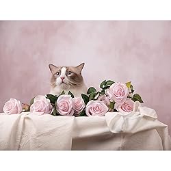 Kate 8x10ft Pink Backdrops Headshot Backdrops Pink