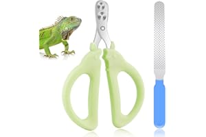 KALAMANDA Cat Nail Clippers with Nail File, Kitten Claw Nail Clippers for Trimming, Stainless Steel Pet Bearded Nail Clippers Tool for Dragon, Guinea Pig, Rabbits, Birds, Ferret Small Breed Animals(Green)