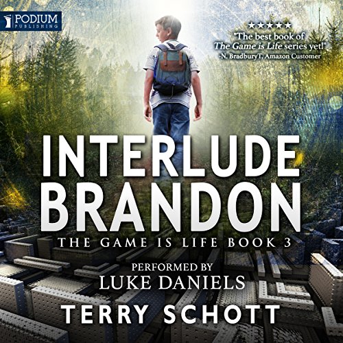 Interlude: Brandon: The Game Is Life, Book 3
