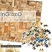 Ingooood- Jigsaw Puzzle -Collector Series- Rainbow Fruits - 1000 Pieces for Adult Wooden Toys Graduation