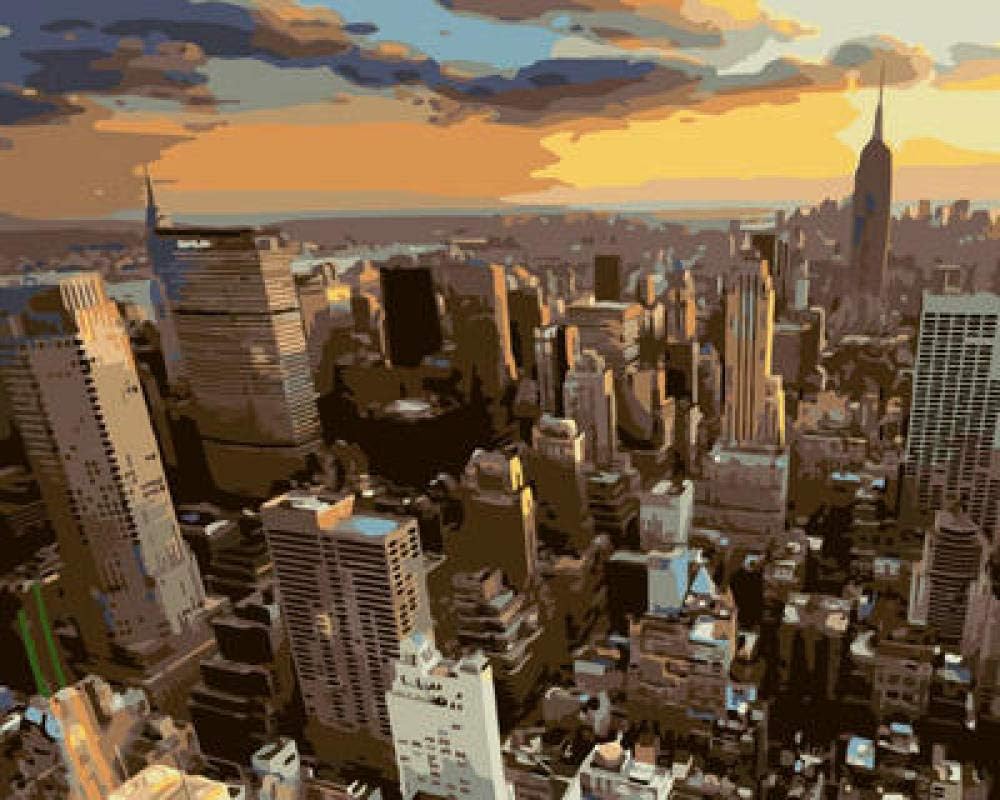 QHZCJ New Paint by Numbers for Adults Overlooking new york 16x20 inches DIY Digital Painting by Numbers Kits on Canvas (Without Frame)