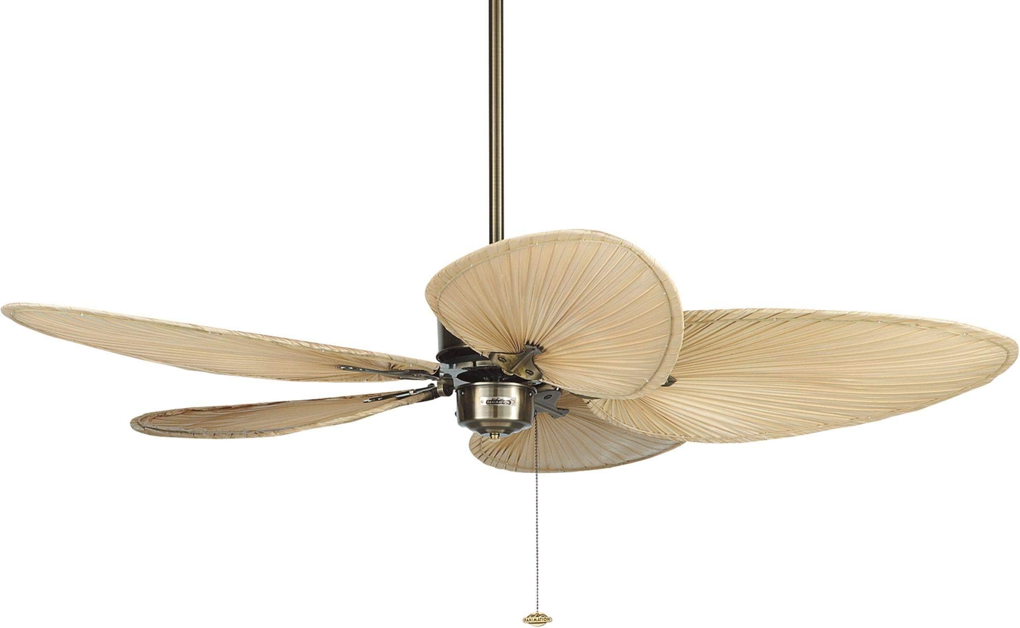 Fanimation Fans FP320AB1P4 Islander AC - 80" Ceiling Fan with Natural Narrow Oval Palm Blades, Antique Brass Finish
