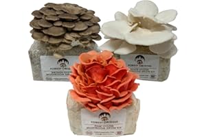 Forest Origins Mushroom Grow Kit – 3-Pack Trio (Pink, Brown, White Oyster) | Indoor Growing Kit | Non-GMO, Easy to Grow in 10 Days | Handmade in California | Gift for Gardeners & Foodies