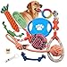 Adoya Dog Rope Toys 10 Pack Puppy Teething Chew Toy for Large Medium Small Dogs Breeds, Dog Toy Gift Set