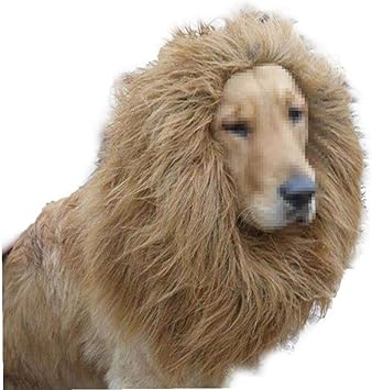 Amazon すべての当事者とライオンのたてがみのかつら空想の服大きな犬と猫のハロウィーンのロールプレイング ライトブラウン Unicoco 服 アクセサリー 通販