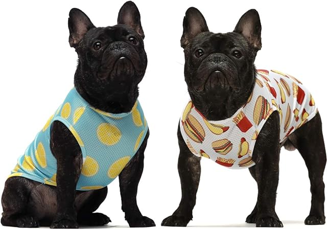 amazon dog shirts