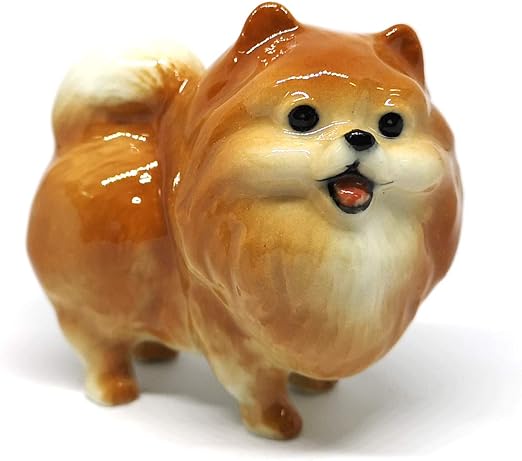 pomeranian amazon