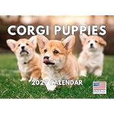 Corgi Puppy Calendar 2027 Monthly Wall Calender 12 Month | American Made In The USA