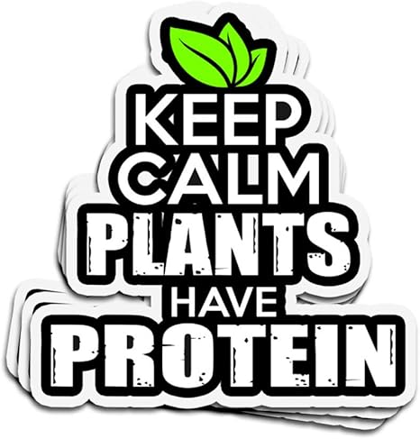 Amazon Com Viraltee 3 Pcs Stickers Plants Protein Vegan Vegetarian Vegetarian 4 3 Inch Die Cut Wall Decals For Laptop Window Kitchen Dining