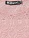 Allegra K Women's Sleeveless Semi Sheer Yoke Floral Lace Mini Flare Dress XS Pink