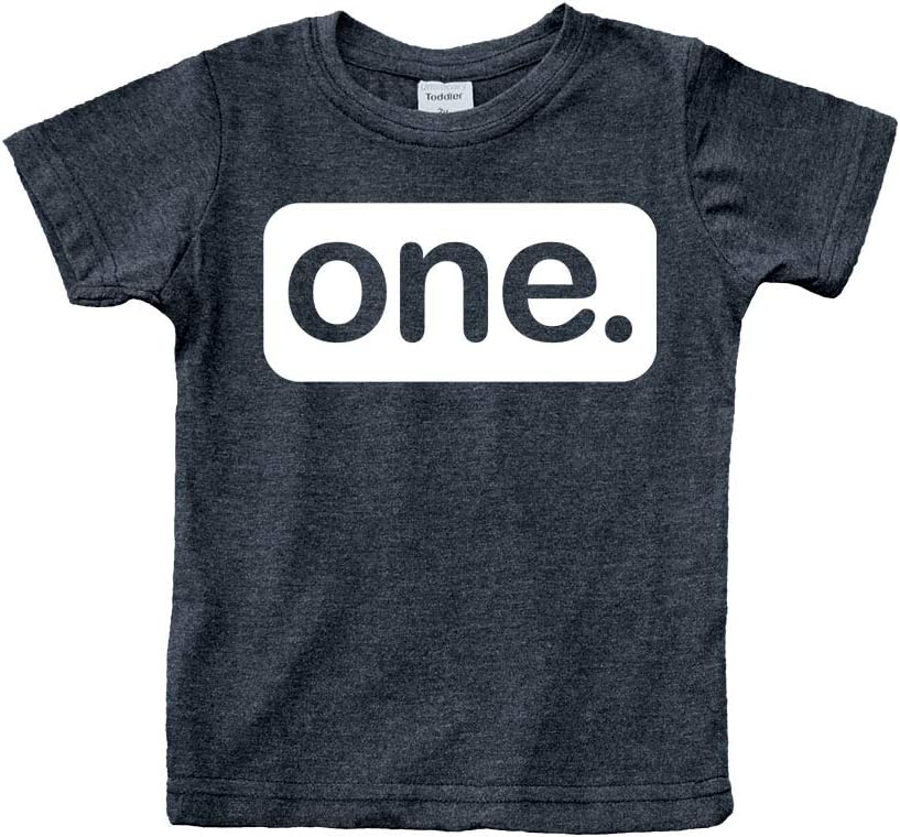 First Birthday Outfit boy 1st Birthday boy Gifts one Year Old Baby Boys Shirt