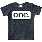 First Birthday Outfit boy 1st Birthday boy Gifts one Year Old Shirt Baby Boys