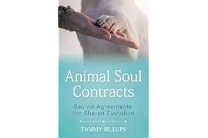 Animal Soul Contracts: Sacred Agreements for Shared Evolution