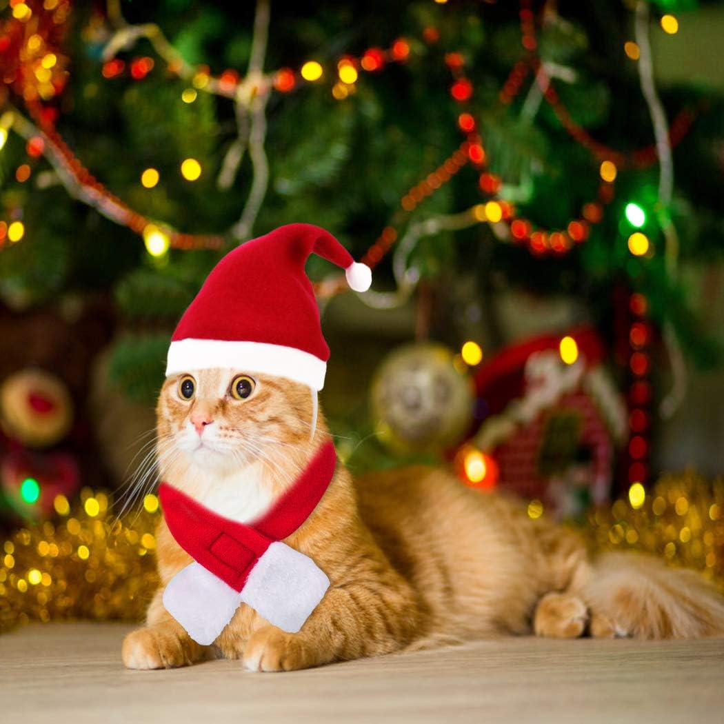 3 Pezzi Costume Natalizio per Gatti e Cani di Piccola Taglia Legendog Cappello  Natalizio per Animali Domestici Cappello da Babbo Natale Regolabile per  Animali Domestici Campanella Colletto Sciarpa Cani urban-earth.co.uk